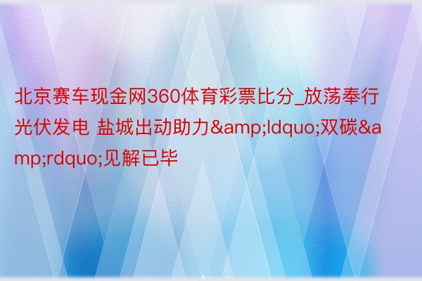 北京赛车现金网360体育彩票比分_放荡奉行光伏发电 盐城出动助力&ldquo;双碳&rdquo;见解已毕