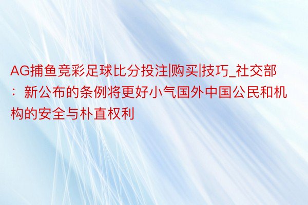 AG捕鱼竞彩足球比分投注|购买|技巧_社交部：新公布的条例将更好小气国外中国公民和机构的安全与朴直权利