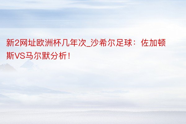 新2网址欧洲杯几年次_沙希尔足球：佐加顿斯VS马尔默分析！