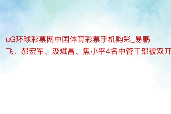 uG环球彩票网中国体育彩票手机购彩_易鹏飞、郝宏军、汲斌昌、焦小平4名中管干部被双开