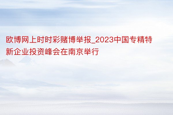 欧博网上时时彩赌博举报_2023中国专精特新企业投资峰会在南京举行