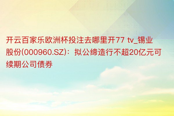 开云百家乐欧洲杯投注去哪里开77 tv_锡业股份(000960.SZ)：拟公缔造行不超20亿元可续期公司债券