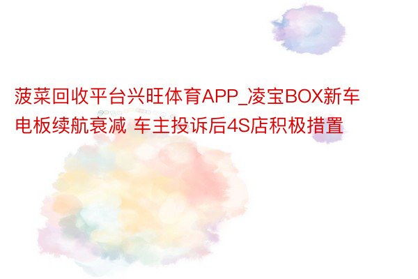 菠菜回收平台兴旺体育APP_凌宝BOX新车电板续航衰减 车主投诉后4S店积极措置