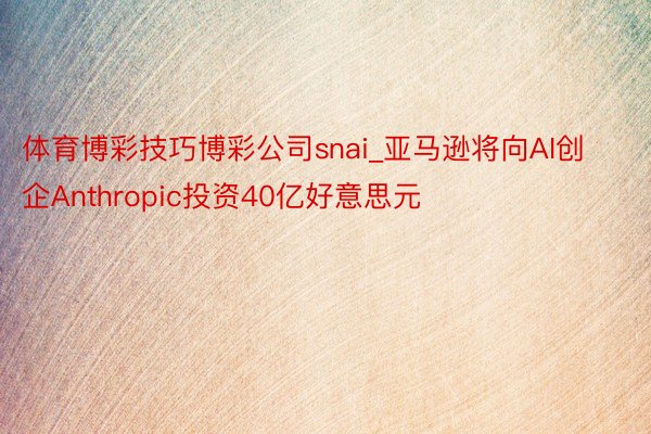 体育博彩技巧博彩公司snai_亚马逊将向AI创企Anthropic投资40亿好意思元